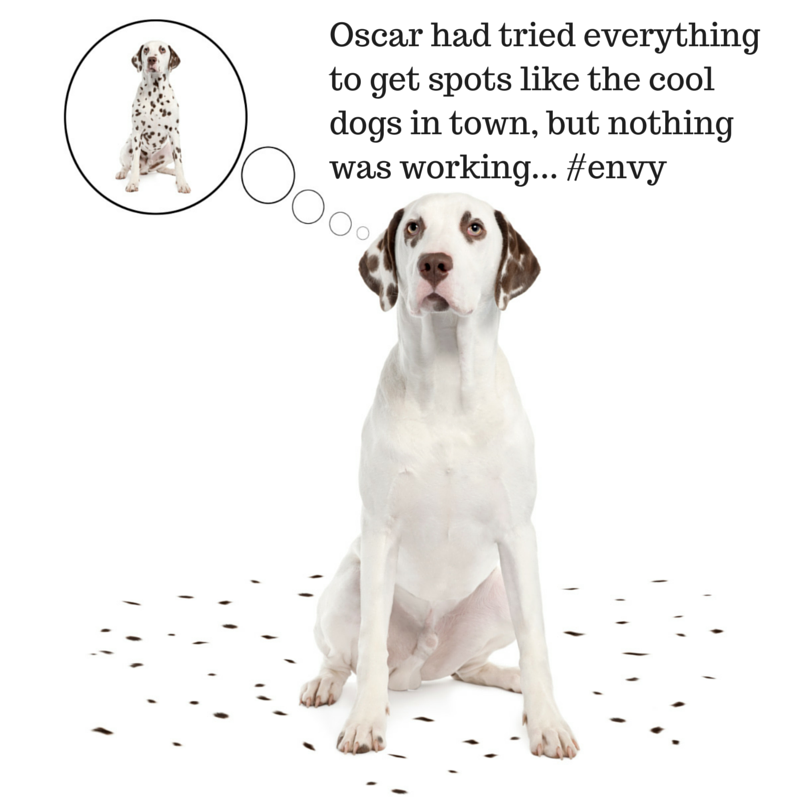Oscar had tried everything to get spots